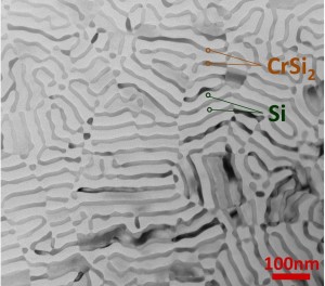 急冷したSi-CrSi2熱電材料の共晶組織の観察像
