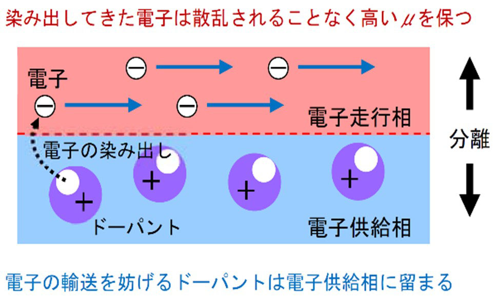 JSTさきがけに採択（環境エネルギー材料工学領域 黒崎 健 准教授